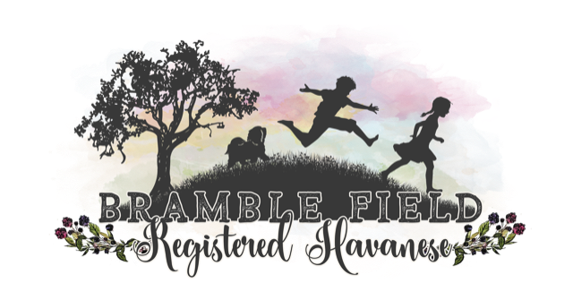 Bramble Field Havanese Hill-top logo